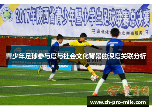青少年足球参与度与社会文化背景的深度关联分析