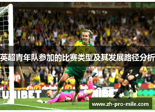 英超青年队参加的比赛类型及其发展路径分析 英超青年队参加的比赛类型及其发展路径分析