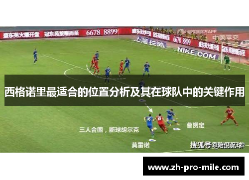 西格诺里最适合的位置分析及其在球队中的关键作用