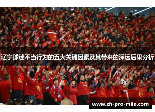 辽宁球迷不当行为的五大关键因素及其带来的深远后果分析