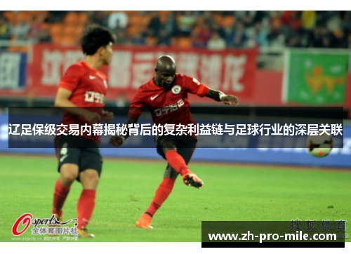 辽足保级交易内幕揭秘背后的复杂利益链与足球行业的深层关联
